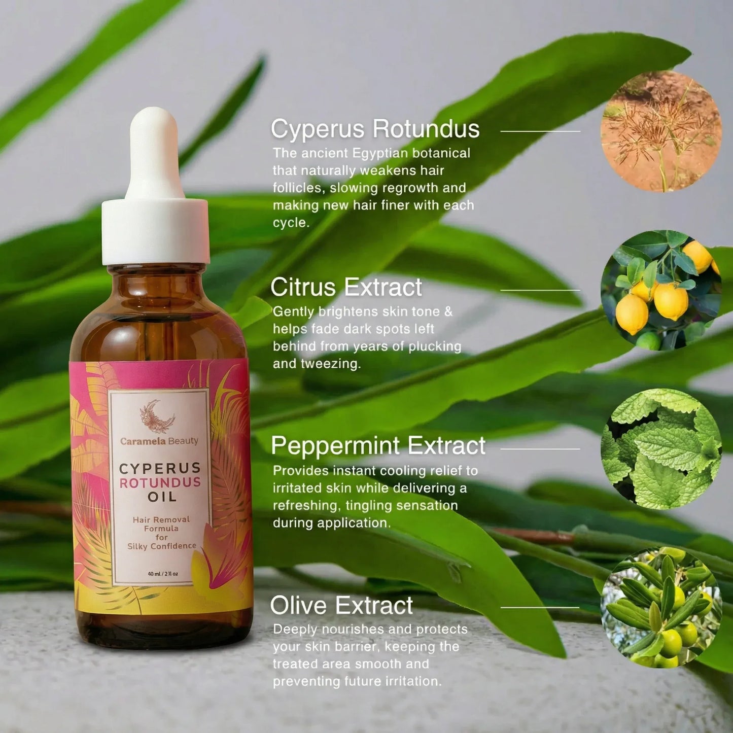 Caramela Beauty™ Cyperus Rotundus Oil Natural Hair Reduction Oil